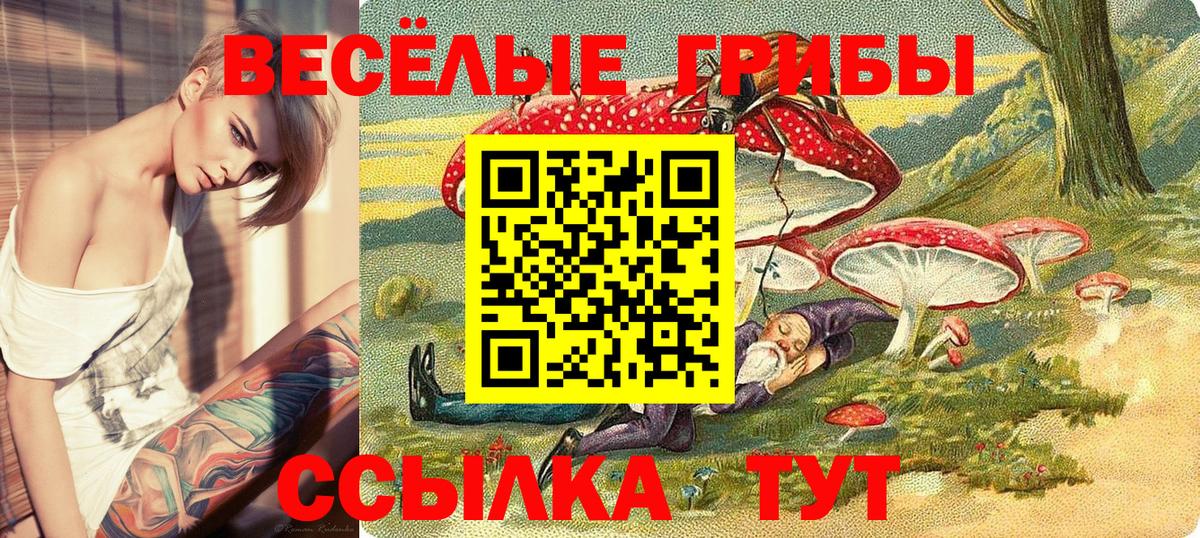 Пенза  Псилоцибиновые грибы прущие грибы  Вход с VPN 