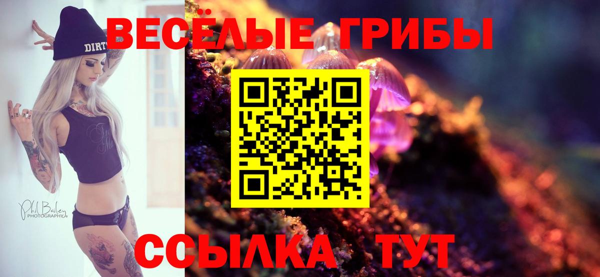 Галлюциногенные грибы MAGIC MUSHROOMS Пенза