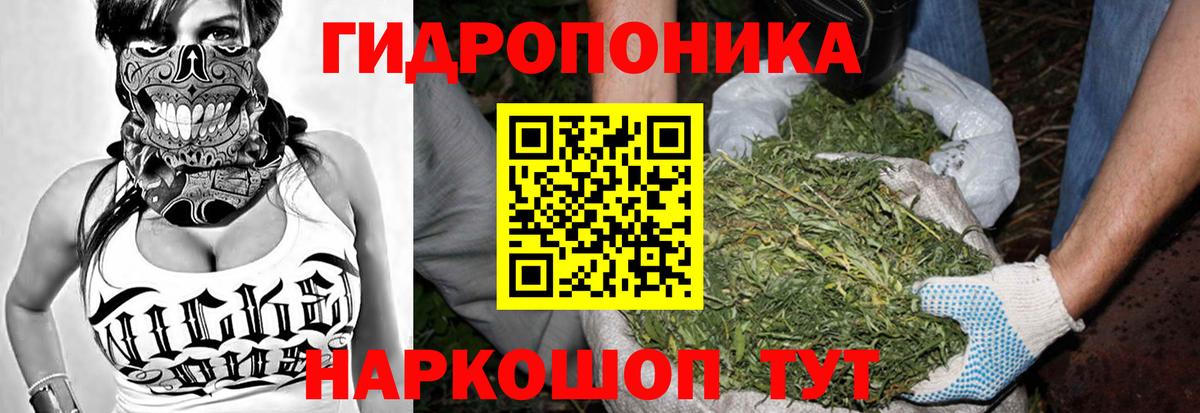 Бошки Шишки MAZAR Пенза
